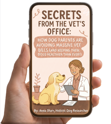 Secrets From The Vets Office E-book
